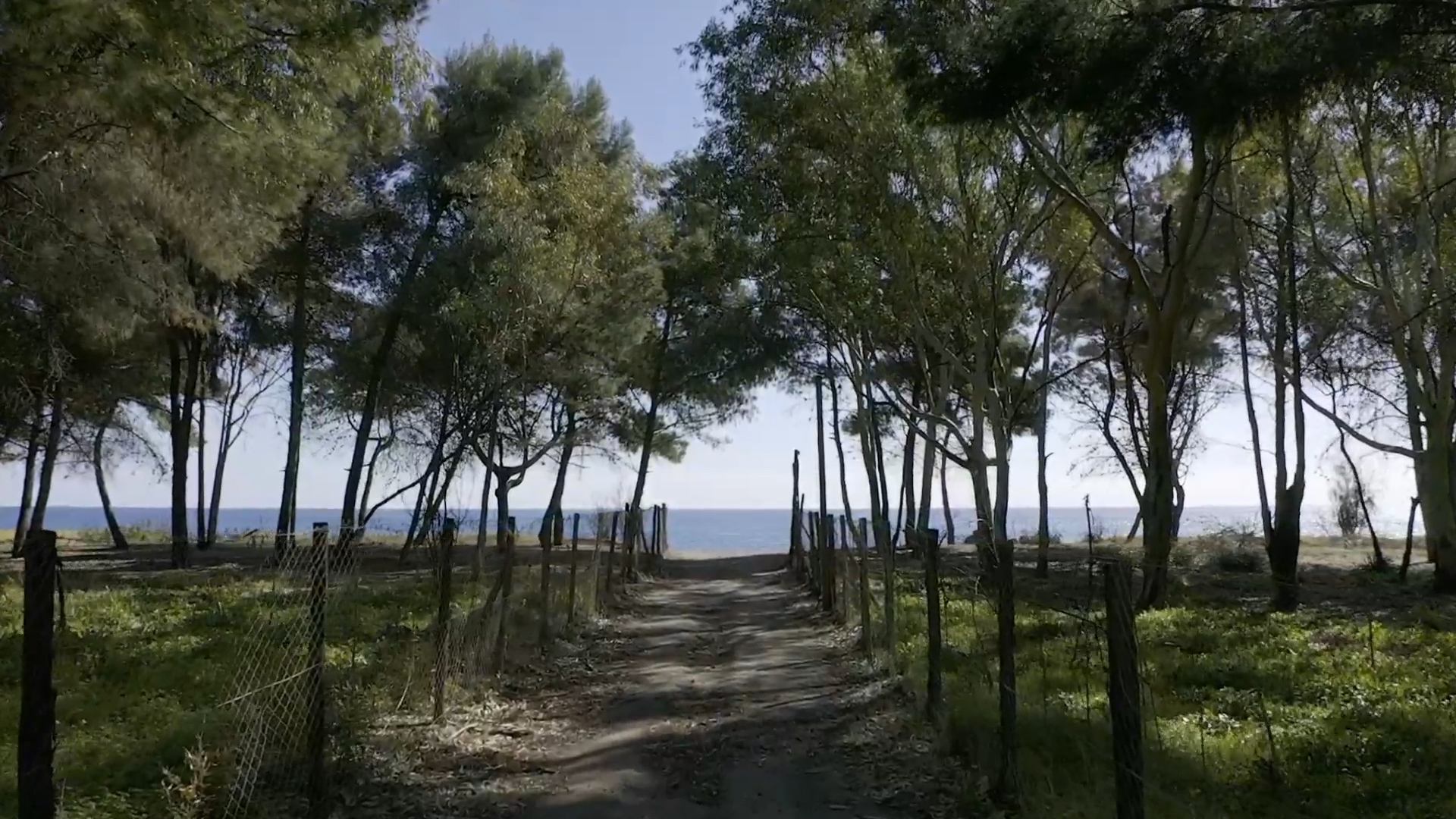 Bosco di Santa Maria La Stella