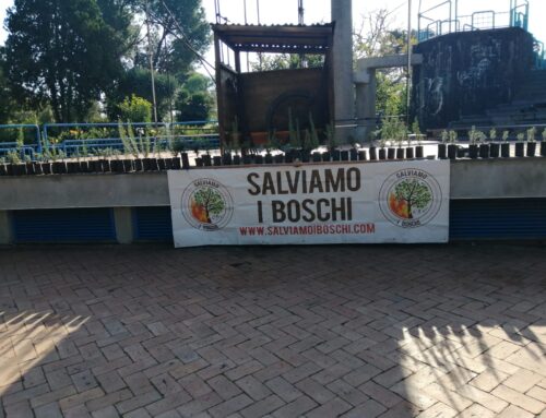 Primo step-UN ALBERO PER AMICO-Fiumefreddo Di Sicilia-12/2025