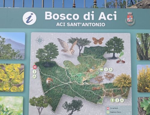 Giornata della terra-Bosco di ACI