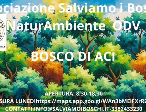 Camminata Bosco di ACI-SANT’ANTONIO -12 Aprile 2026
